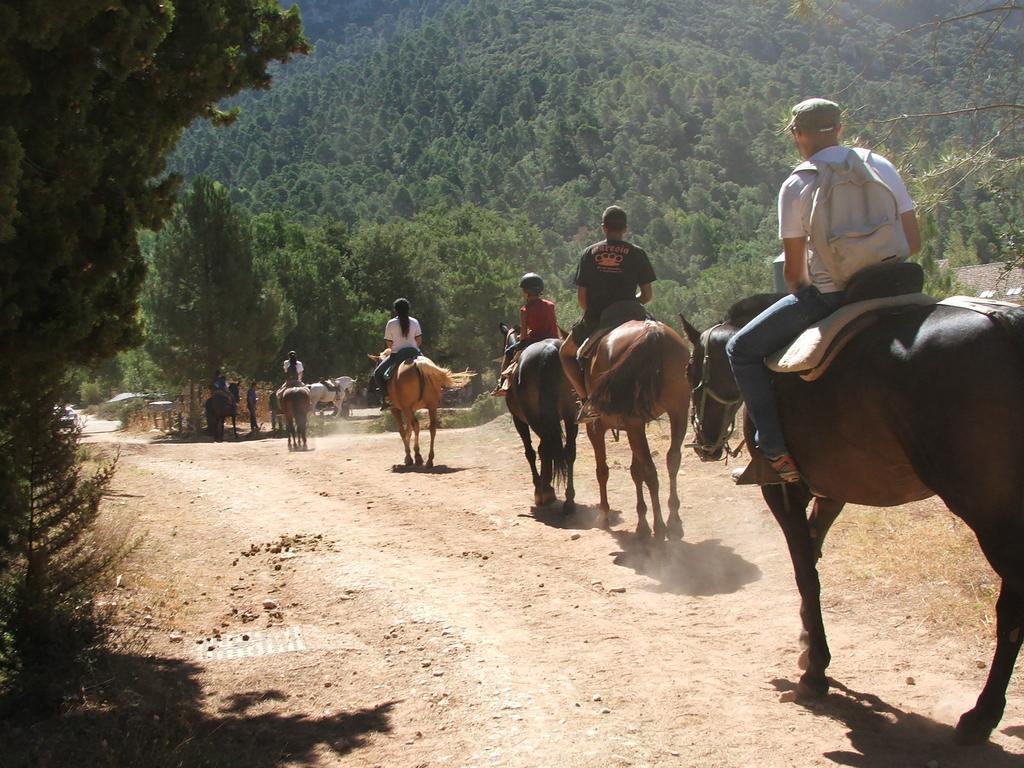 Hotel Rural Montana De Cazorla Arroyo Frio Exteriör bild
