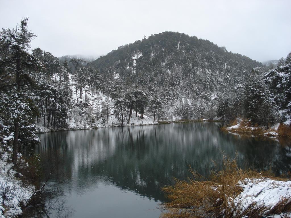 Hotel Rural Montana De Cazorla Arroyo Frio Exteriör bild