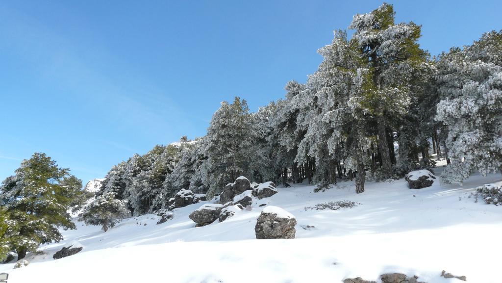 Hotel Rural Montana De Cazorla Arroyo Frio Exteriör bild